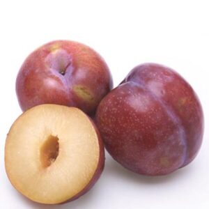 Red Plums 1pc (imported)