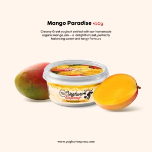 Yoghurt Express Mango Yoghurt Paradise 450g